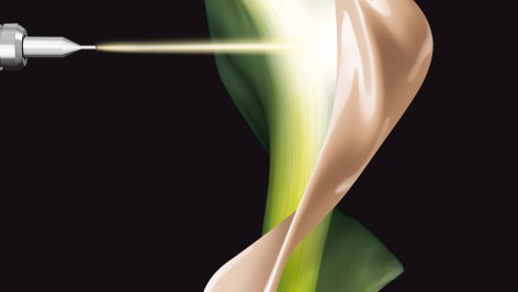 Velds Artworks